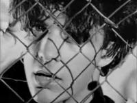 La chevauchée des champs de blé